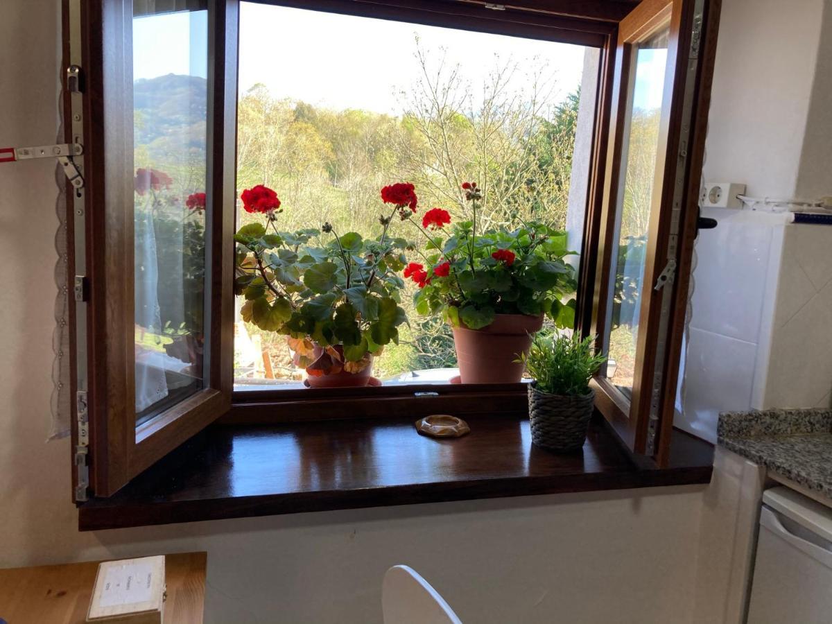 Casa Elena Cangas De Onis Con Wifi Y Parking Gratuito Exteriér fotografie