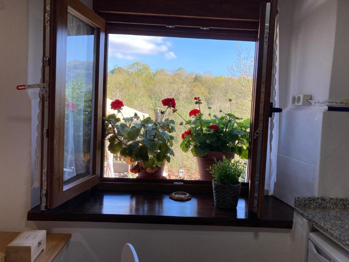 Casa Elena Cangas De Onis Con Wifi Y Parking Gratuito Exteriér fotografie