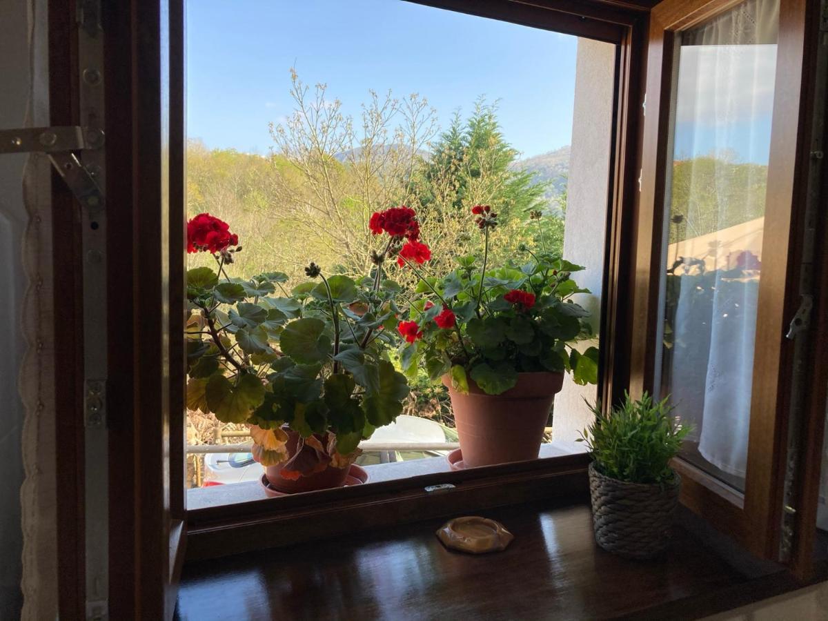Casa Elena Cangas De Onis Con Wifi Y Parking Gratuito Exteriér fotografie